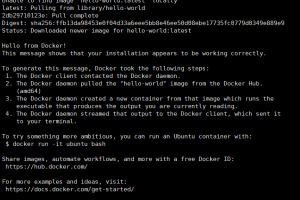 在Centos上架设Zerotier Planet服务器